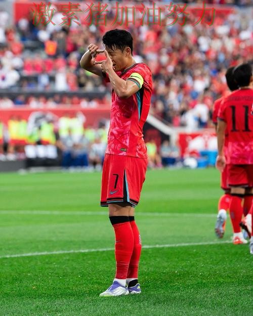 韩国进攻提速让球迷期待值迅速拉满 韩国进攻提速让球迷期待值迅速拉满